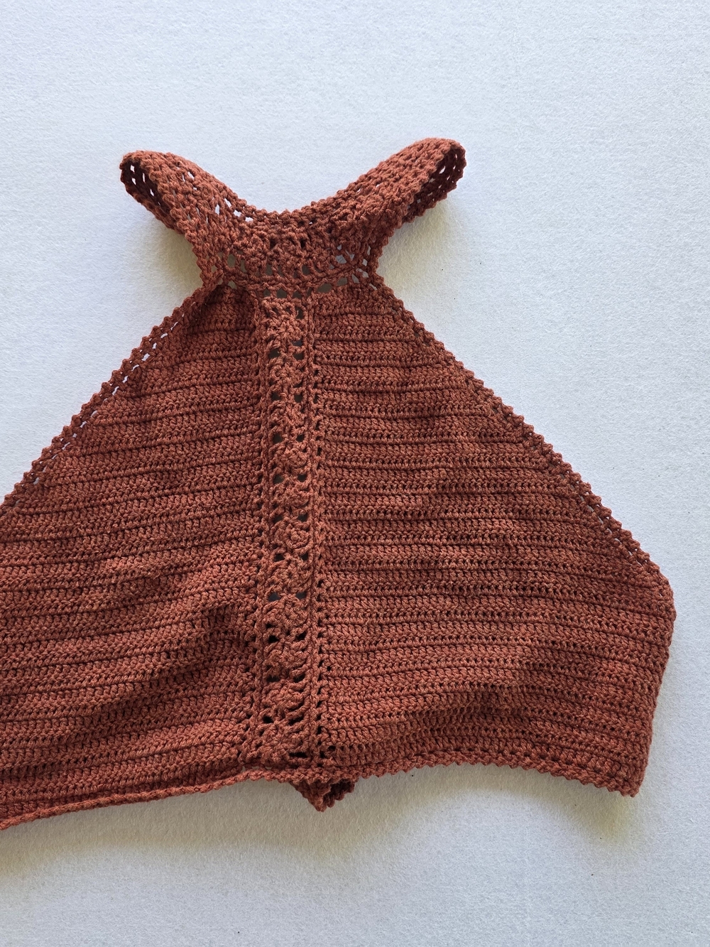American Eagle Outfitters Rust Crochet Halter Crop Top